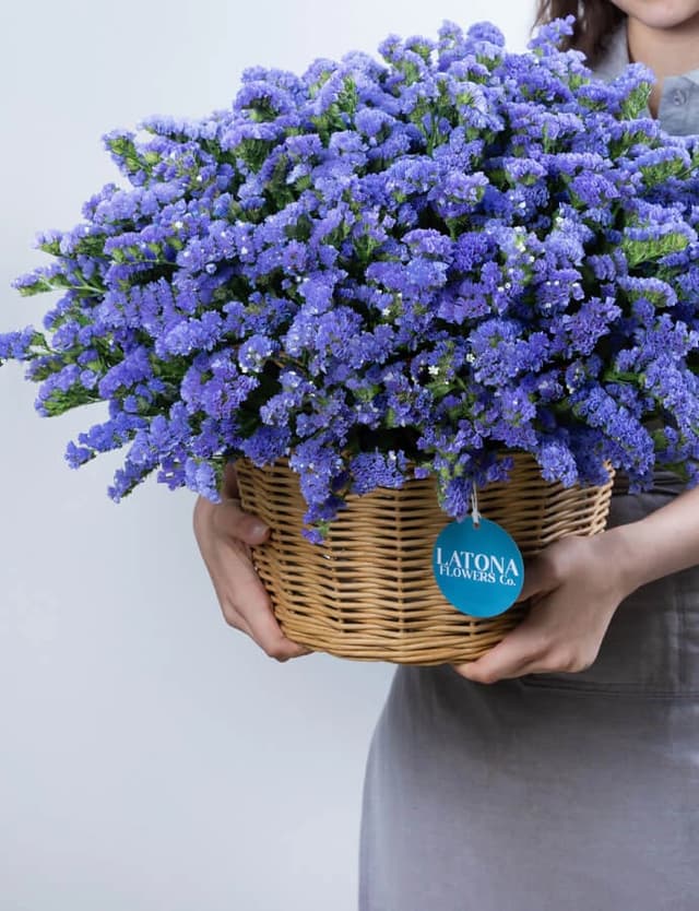 Flower in a Basket ‹DRY BLUE› with limoniums