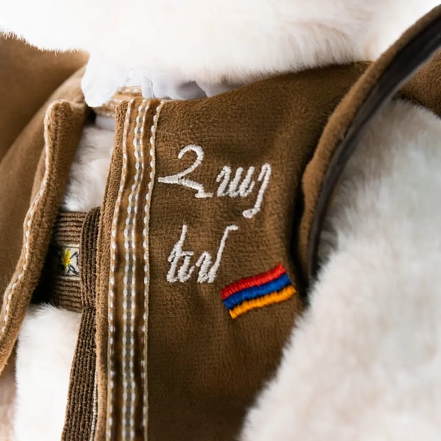 Soft toy bear "I am Armenian" - for children