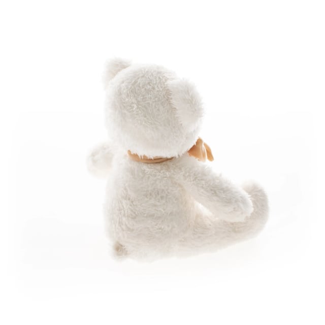 Plush Toy Bear "Ben"