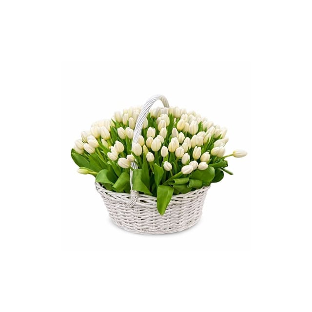 Large basket with white tulips
