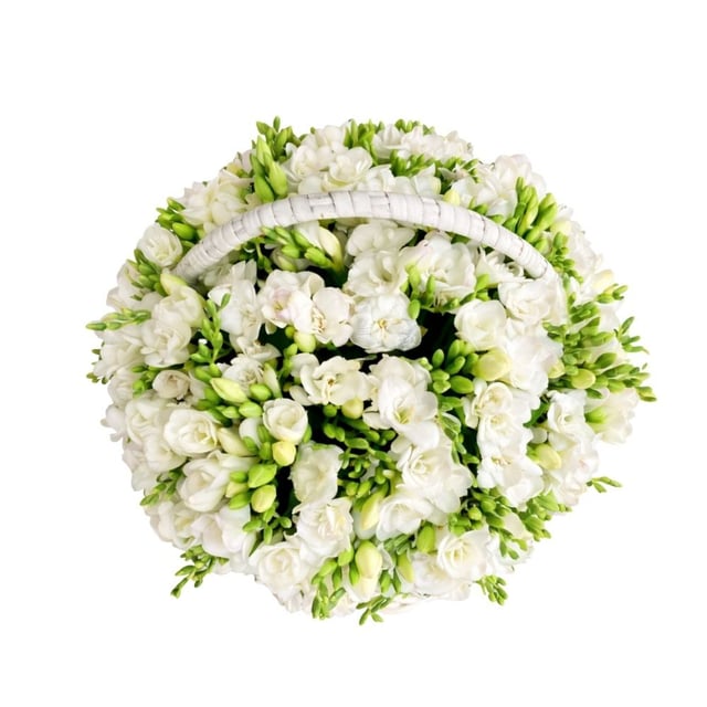 Large basket with white freesias