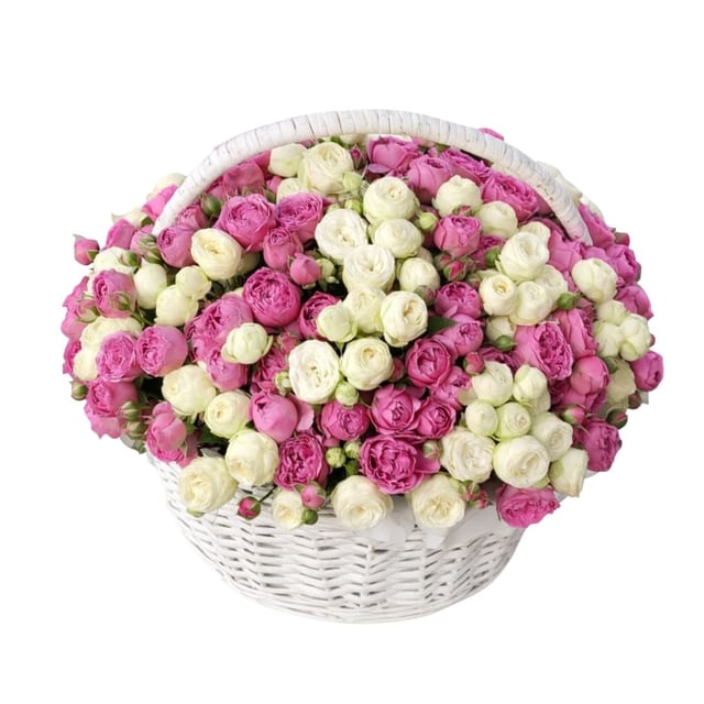 Large basket with white and pink peony roses