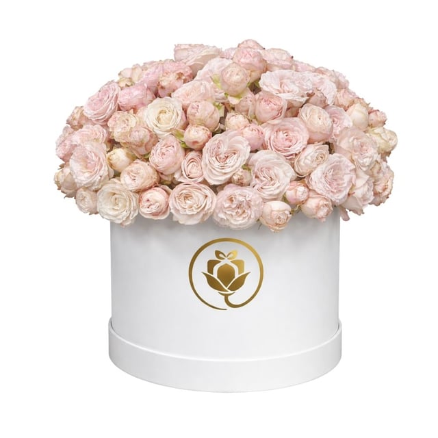 Box "The Color of Tenderness"