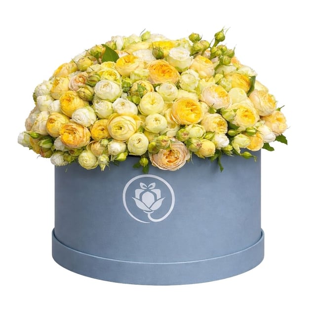 Box "Breath of the Sun"