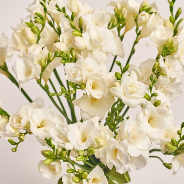 Bouquet with freesias.