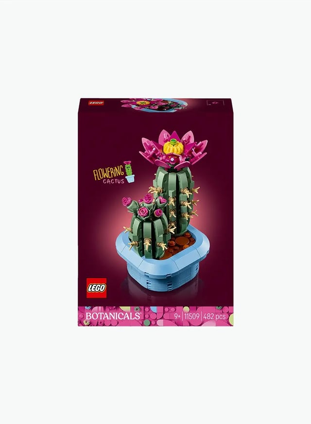 Construction Game Botanical Collection "Blooming Cactus"