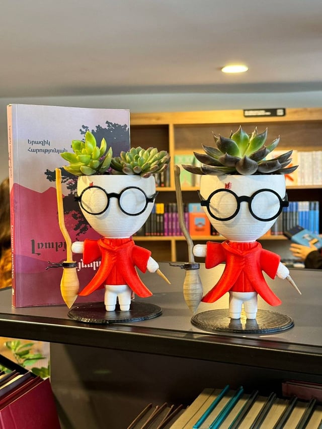 Фигурка Гарри Поттер – Plants Gallery