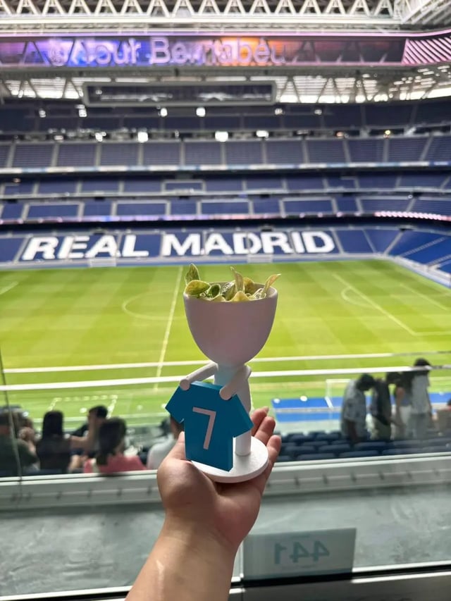 Little Football Player