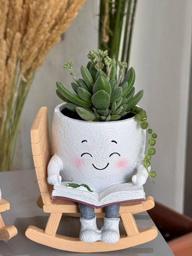 Мардук с креслом-качалкой - Plants Gallery