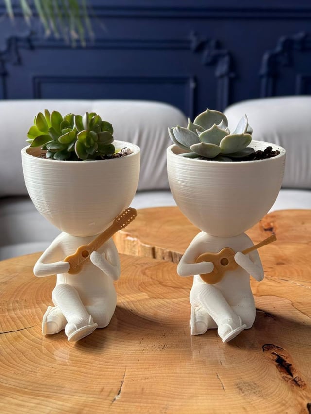 Человечек-гитарист – Plants Gallery