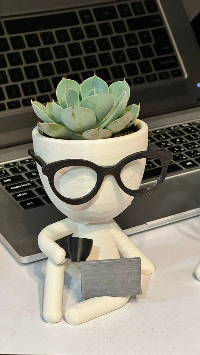 Մարդուկ ծրագրավորող - Plants Gallery