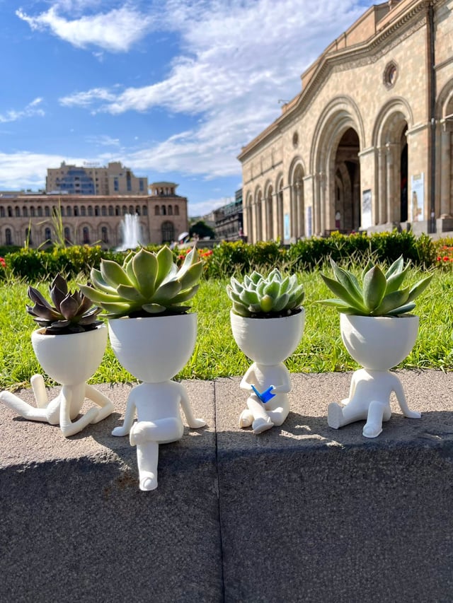 Մարդուկ 1 -Plants Gallery