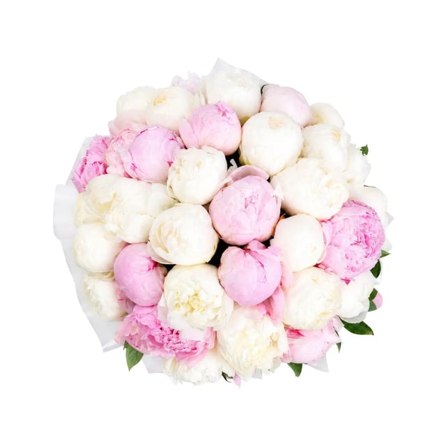 Peonies in a box - Latona Flowers