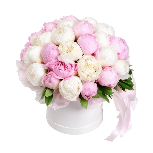 Peonies in a box - Latona Flowers