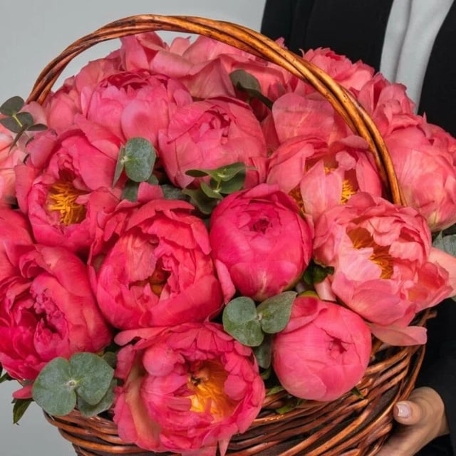 Coral peony basket - Latona Flowers