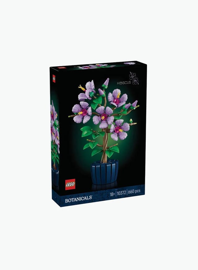 Կառուցողական խաղ Botanical collection «Հիբիսկուս»