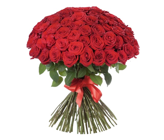 Red Dutch Roses 151 pcs - Coco Fiori