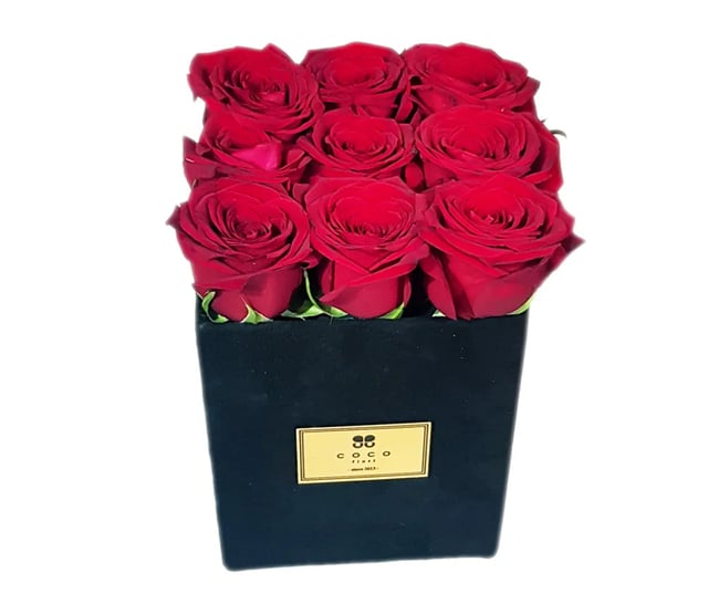 Set Lola Black - Coco Fiori