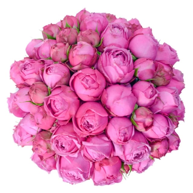 Flowers in a Box "Tiffany" with pink  Peony Roses