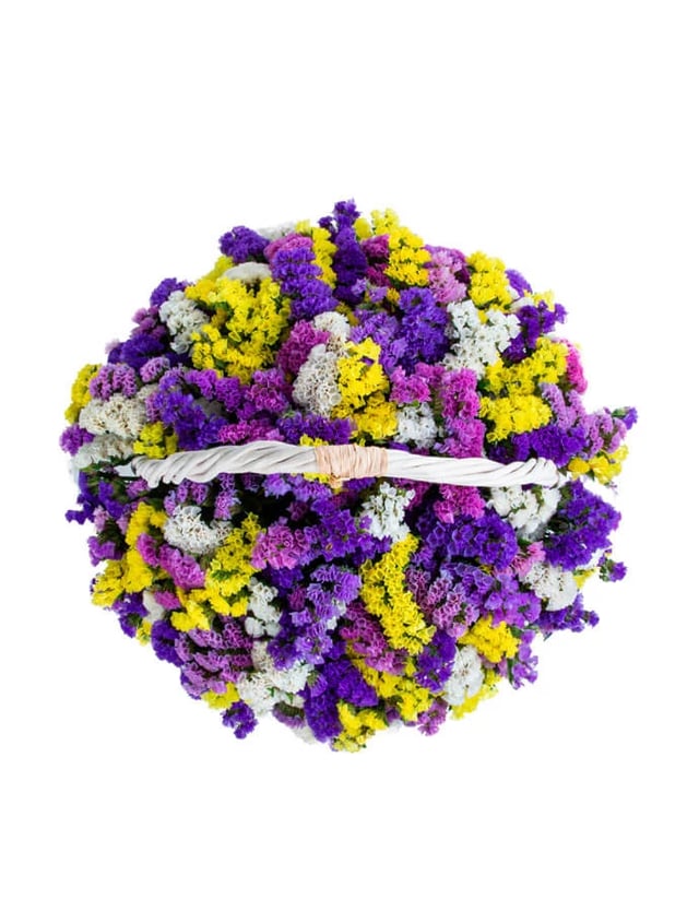 Flower in a Box ‹LIMONIUM› with limoniums
